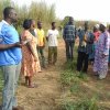 farmers arriving for harvesting